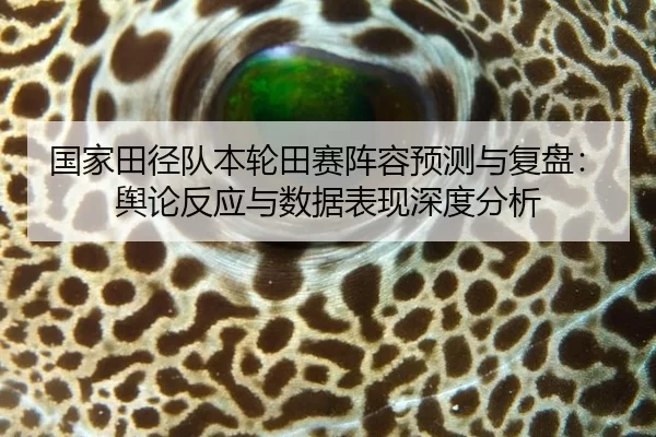 guo-jia-tian-jing-dui-ben-lun-tian-sai-zhen-rong-yu-ce-yu-fu-pan-yu-lun-fan-ying-yu-shu-ju-biao-xian-shen-du-fen-xi-2-746.jpg